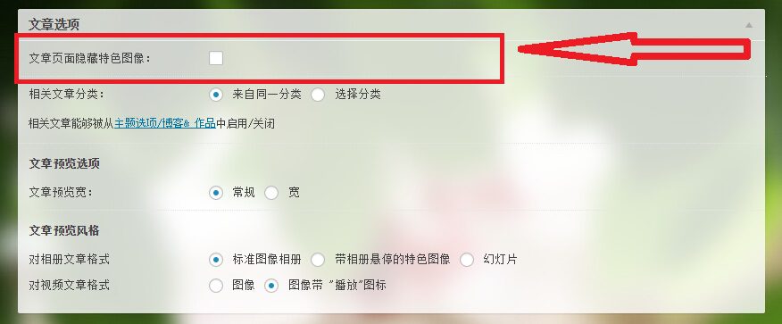 wordpress The7自动屏蔽隐藏文章内容页的特色图像-芊雅企服